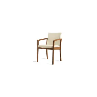 Sillon 55*50*85 MOD.302