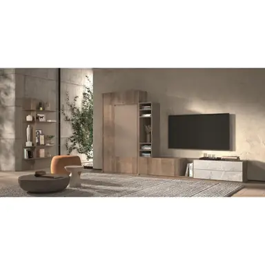 Composicion Z-22