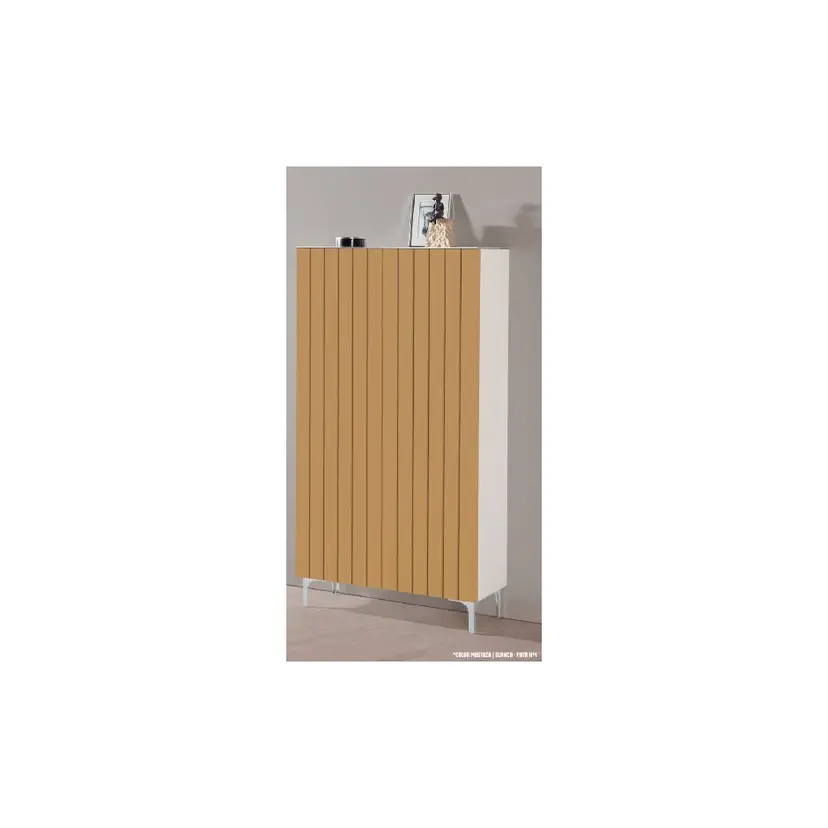Zapatero 2 Puertas Dubai Alto