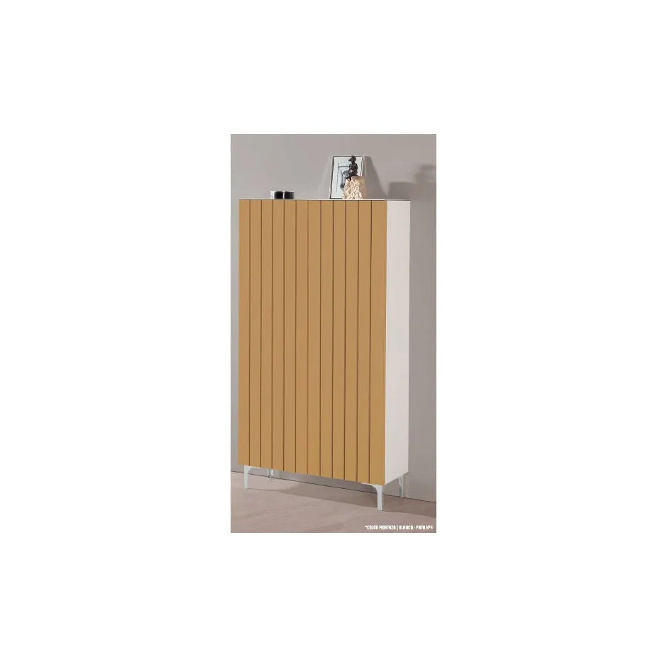 Zapatero 2 Puertas Dubai Alto – foto 1